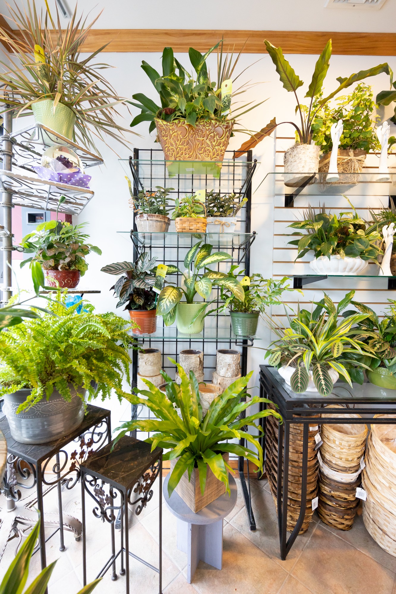 Flowers on Broadway Rocky Point